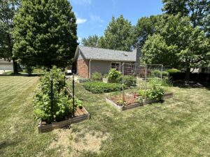 Nic's Garden